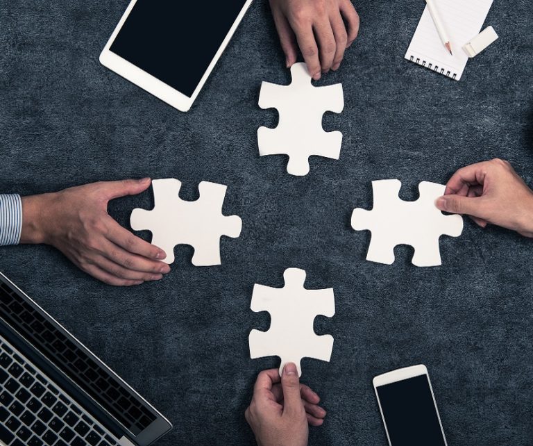 Development Services - Alpha Variance Solutions