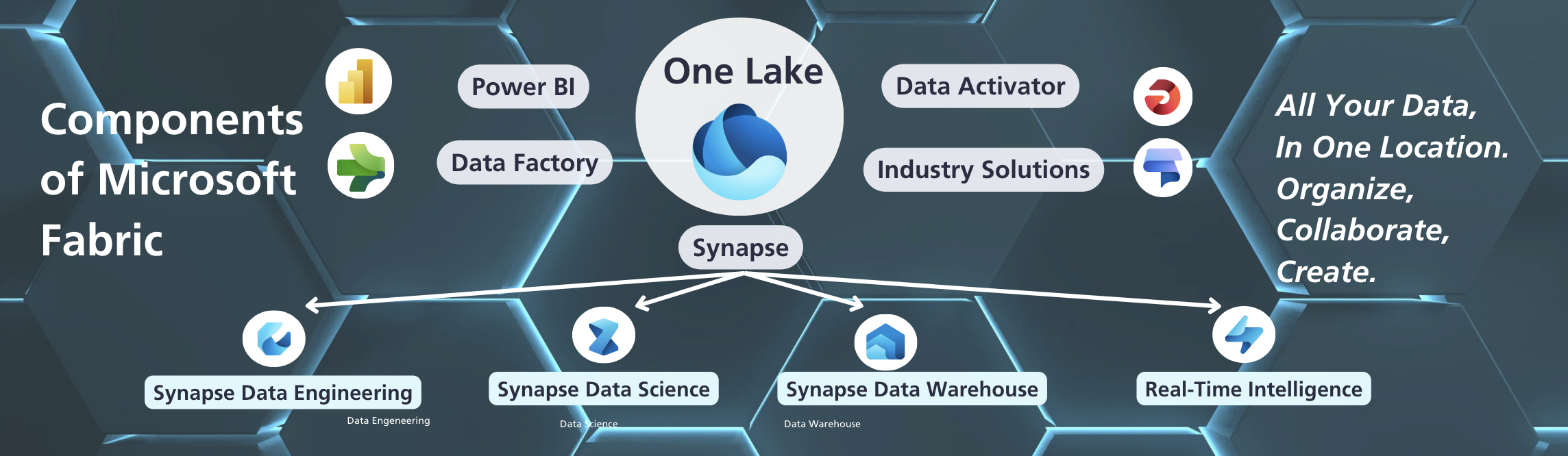 Microsoft Fabric and Data Management - Alpha Variance Solutions